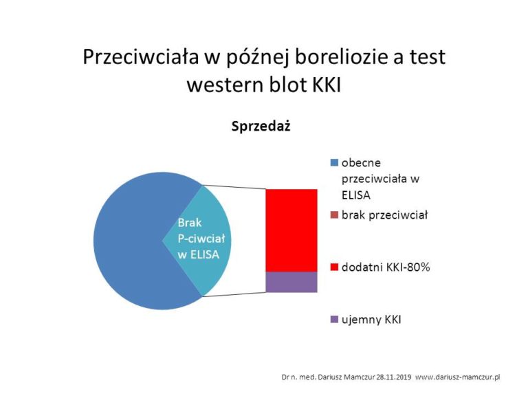 serological testing chart 4 western blot results